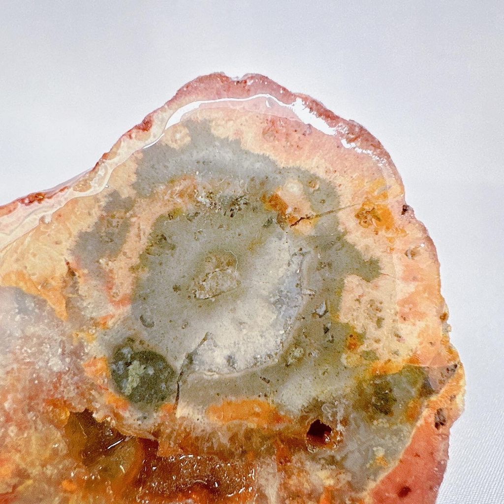 LINE_ALBUM_52040_231020_25