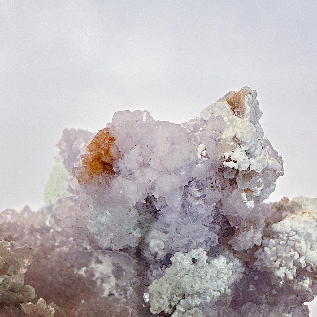 LINE_ALBUM_52054_231026_10