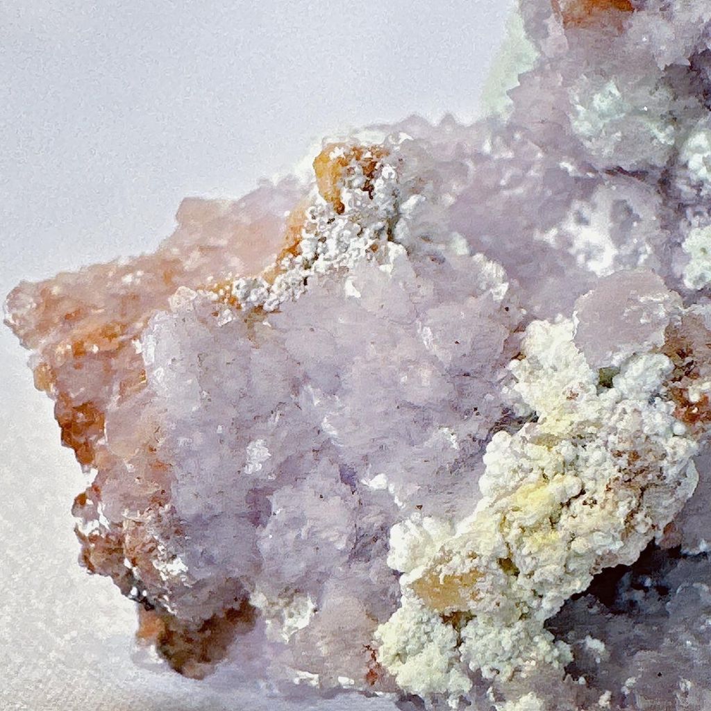 LINE_ALBUM_52054_231026_9