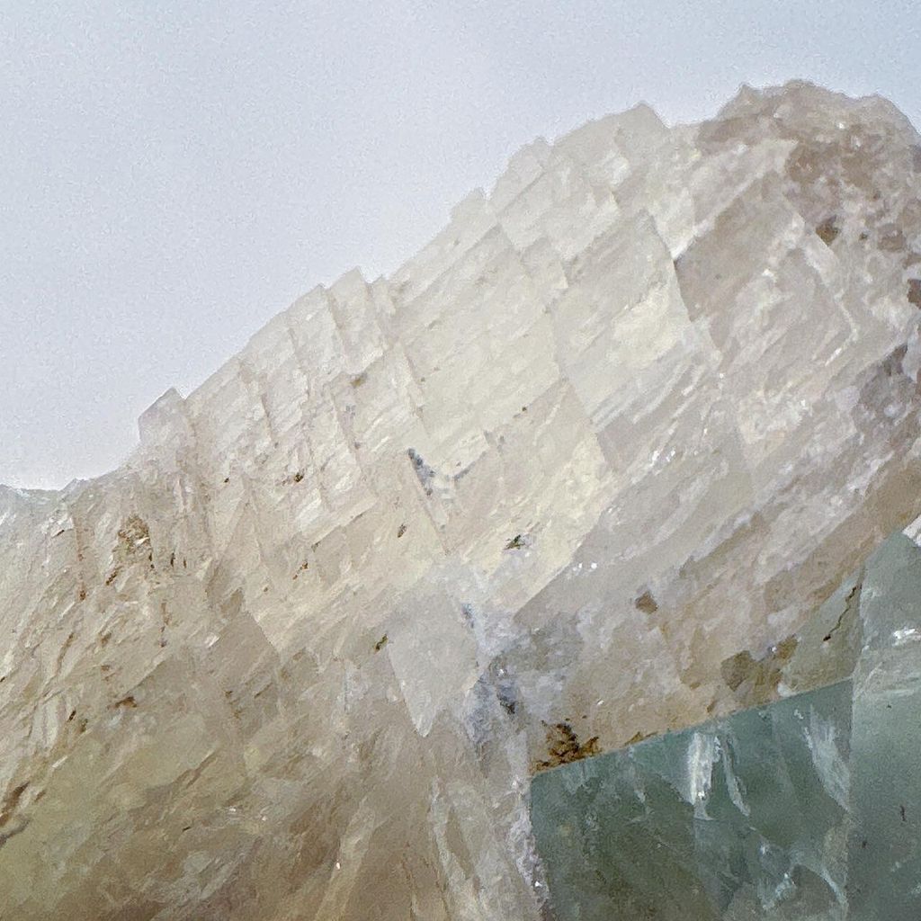 LINE_ALBUM_52054_231026_13