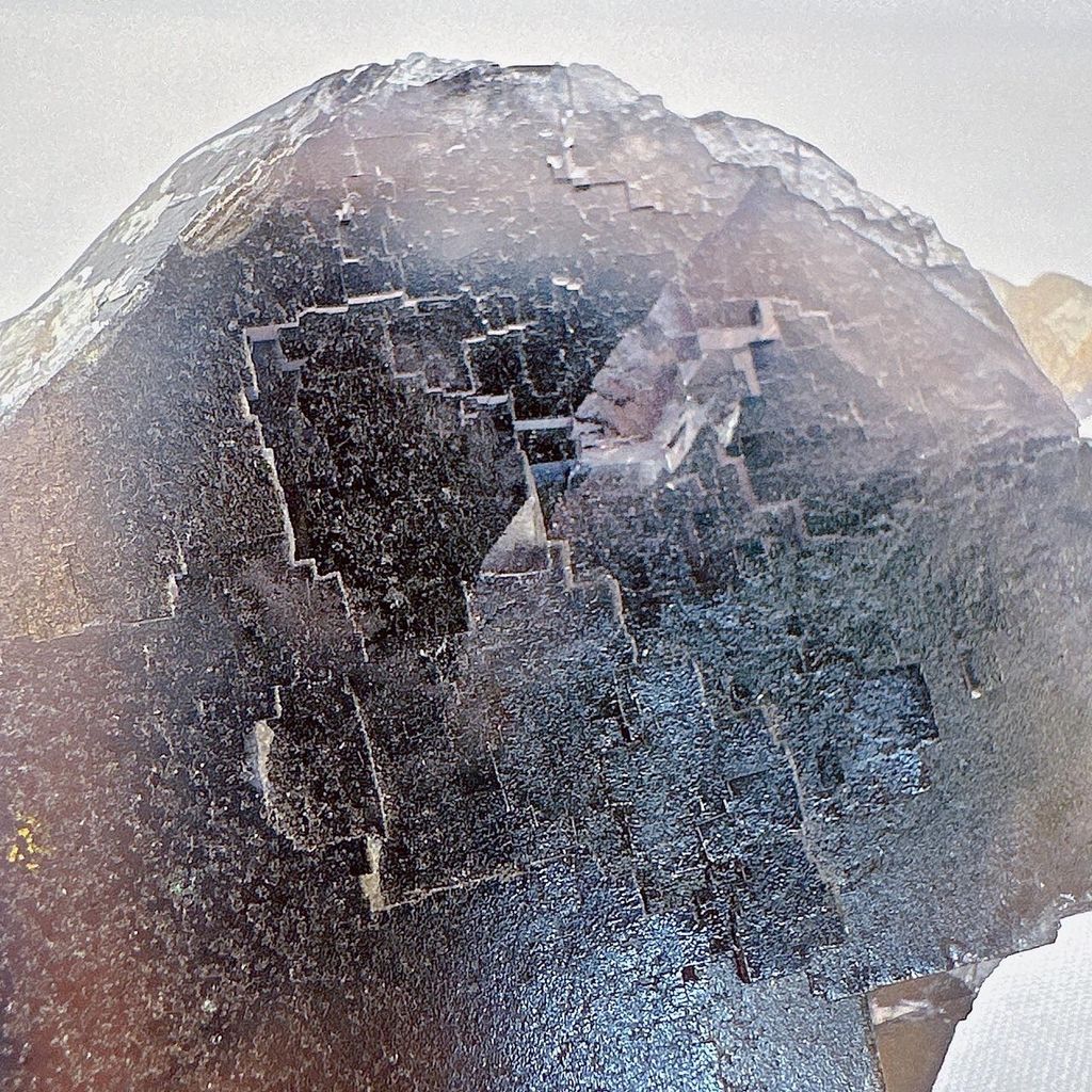 LINE_ALBUM_52062_231031_23