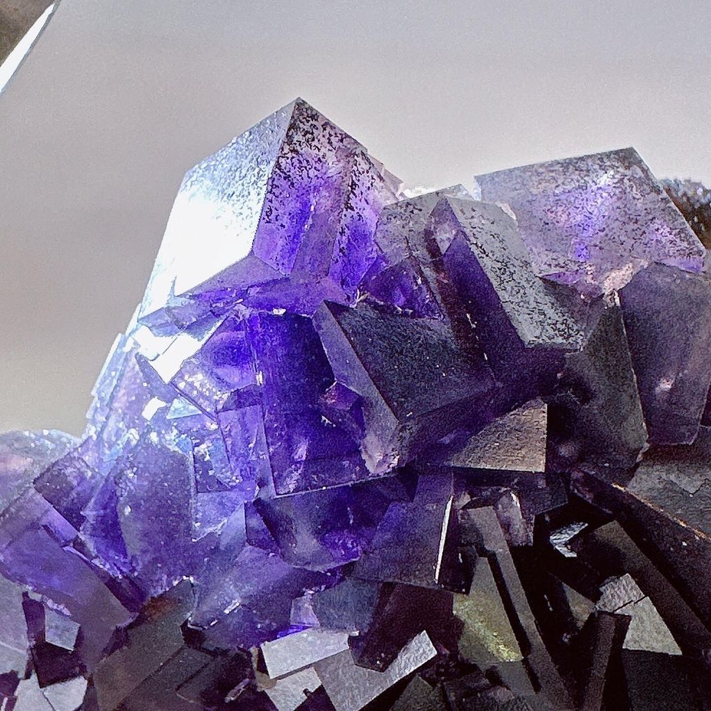 LINE_ALBUM_52062_231031_1