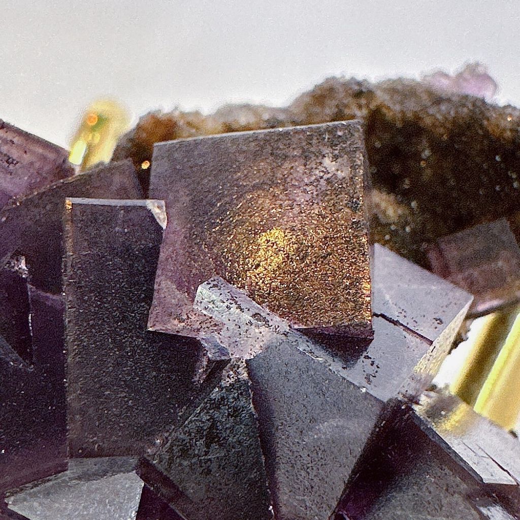 LINE_ALBUM_52062_231031_2