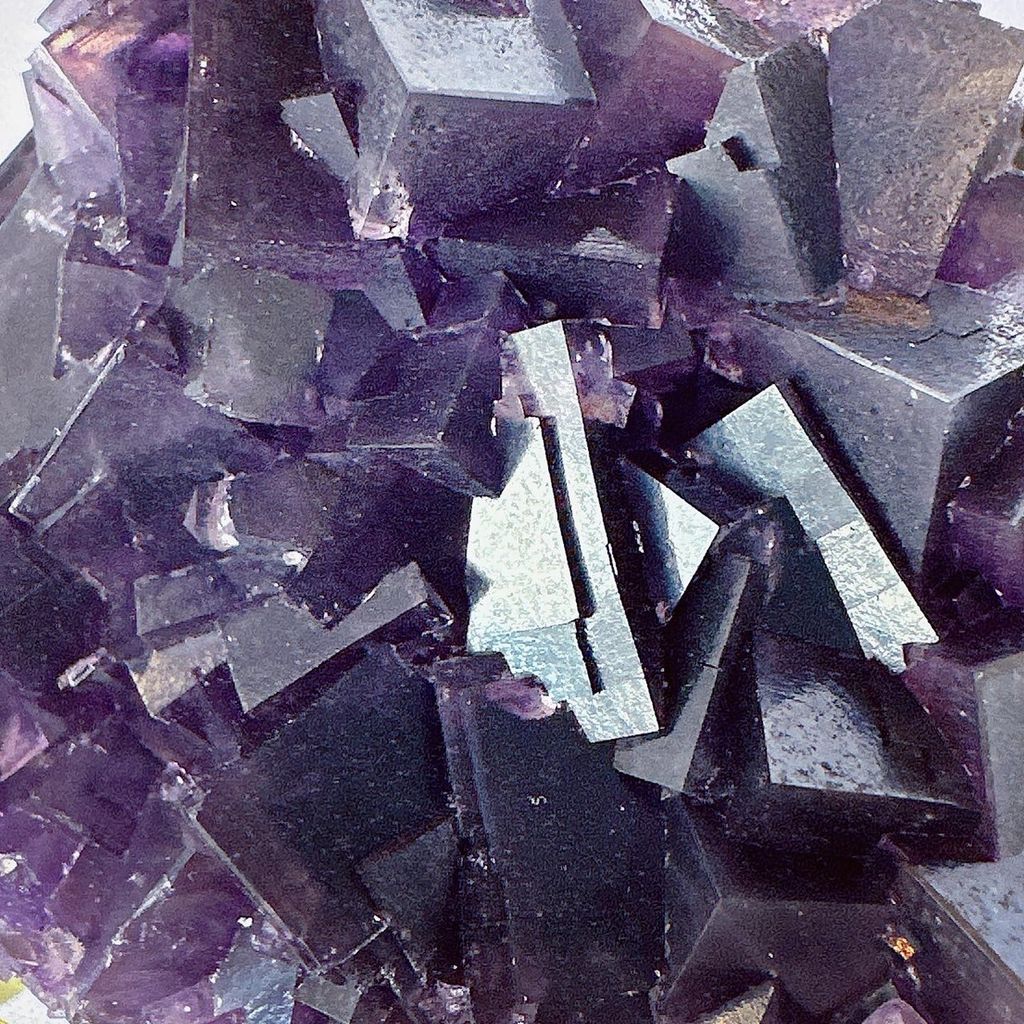 LINE_ALBUM_52062_231031_3