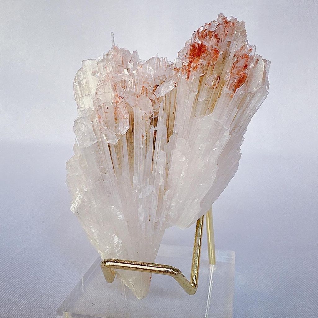 LINE_ALBUM_52202_231101_17