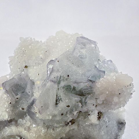 LINE_ALBUM_52208_231103_23