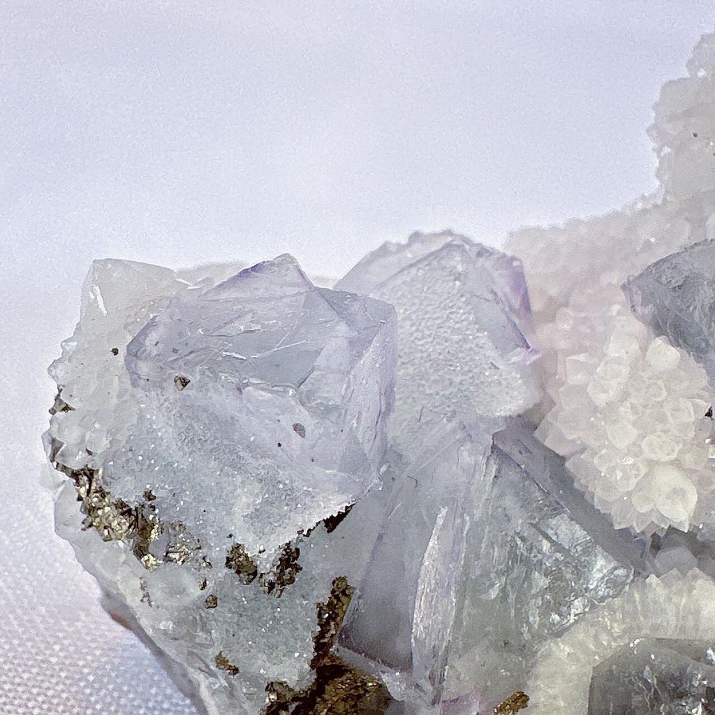 LINE_ALBUM_52208_231103_21