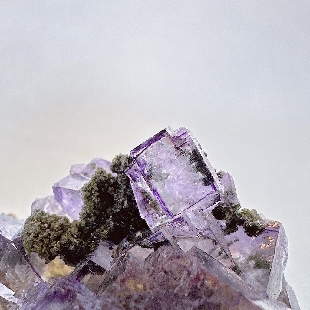 LINE_ALBUM_52216_231108_17