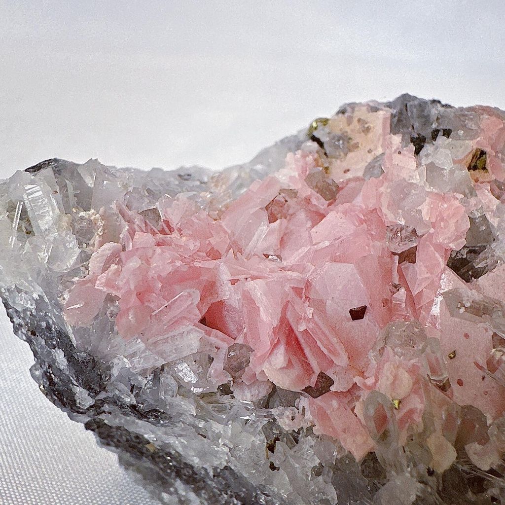 LINE_ALBUM_52220_231110_2