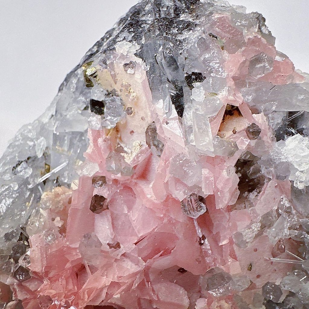 LINE_ALBUM_52220_231110_1