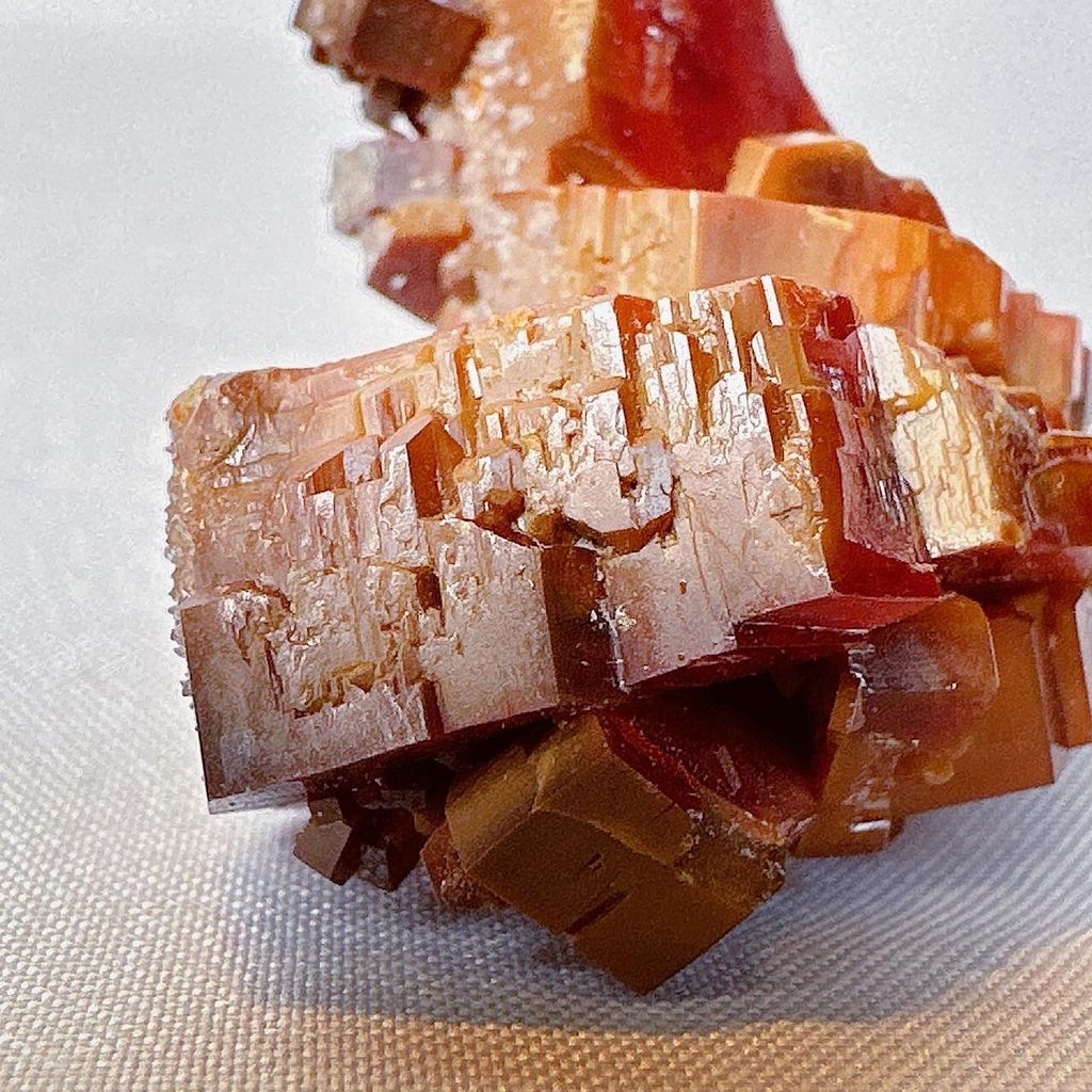 LINE_ALBUM_52230_231115_12