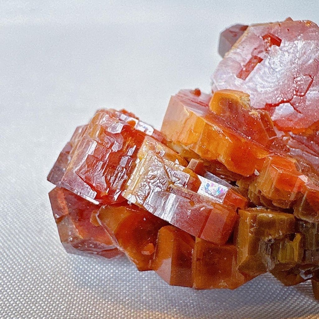 LINE_ALBUM_52230_231115_11