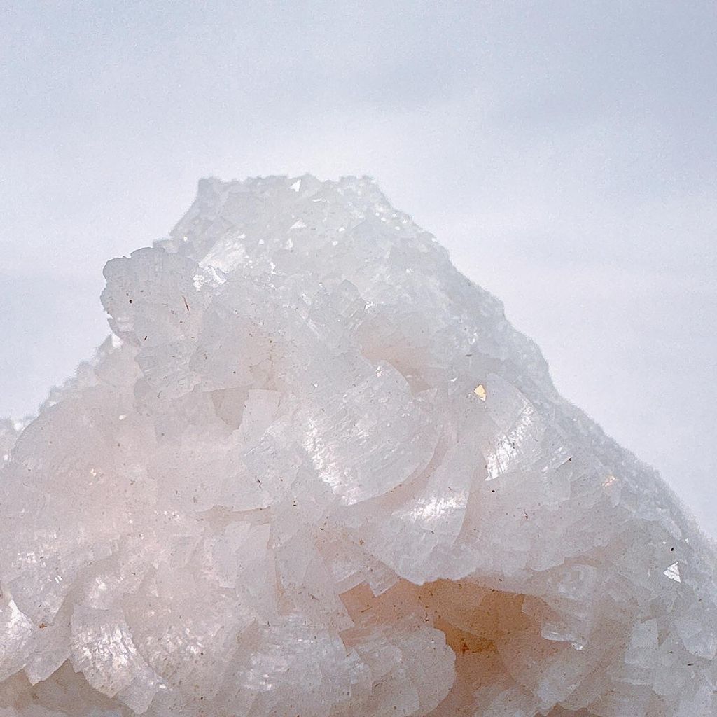 LINE_ALBUM_52232_231115_8