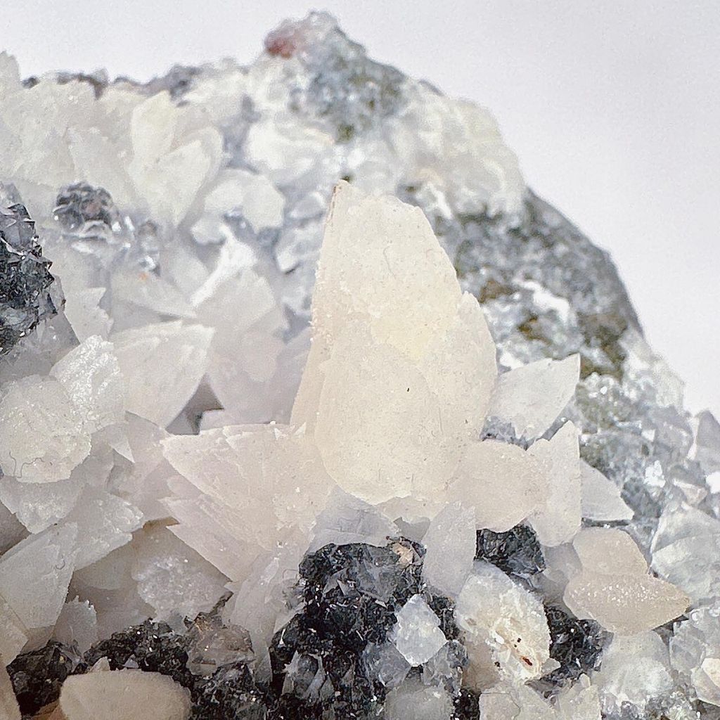 LINE_ALBUM_52232_231115_17