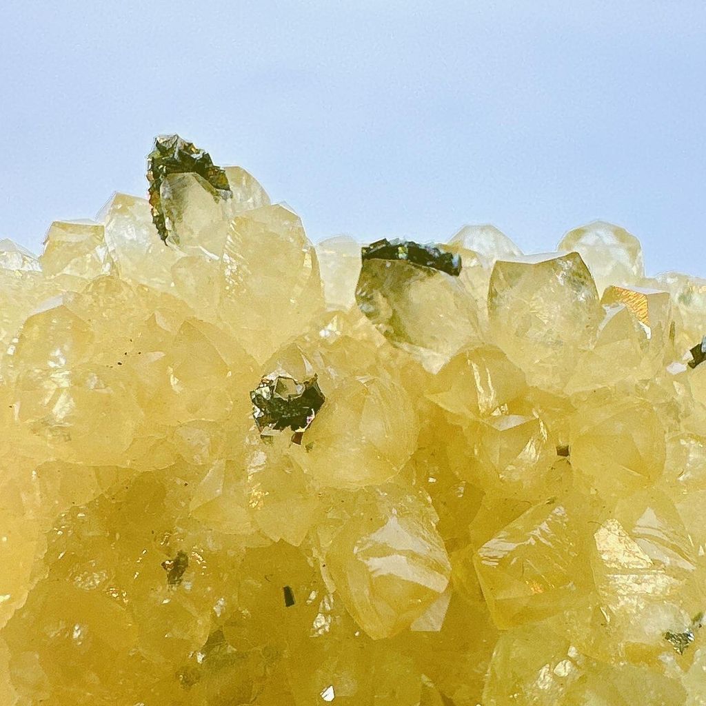 LINE_ALBUM_52236_231116_18