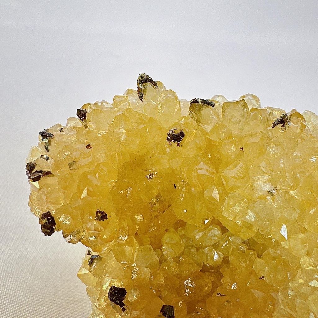 LINE_ALBUM_52236_231116_19