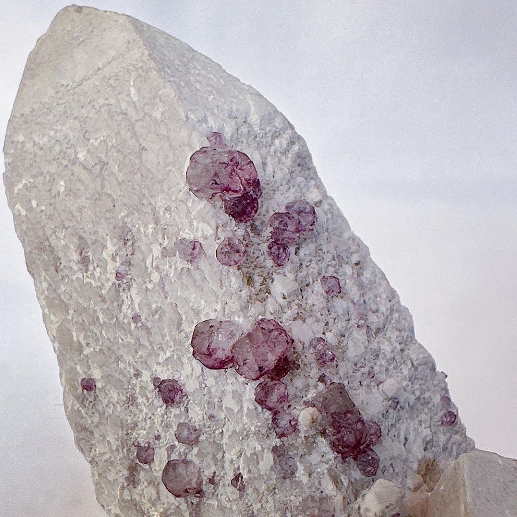 LINE_ALBUM_52244_231122_8