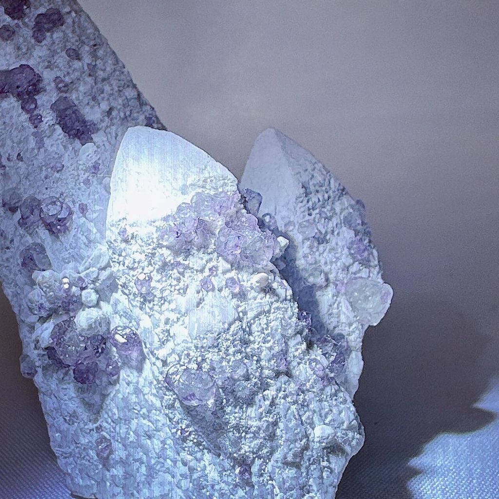 LINE_ALBUM_52244_231122_6