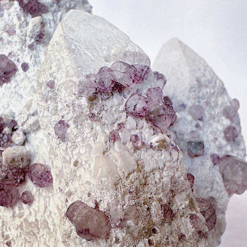 LINE_ALBUM_52244_231122_7