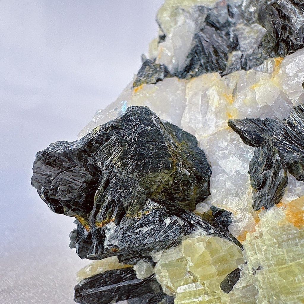 LINE_ALBUM_52244_231122_38