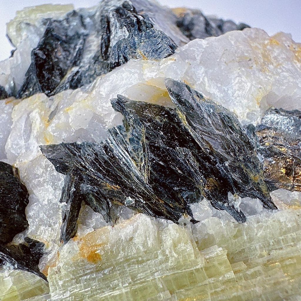 LINE_ALBUM_52244_231122_37