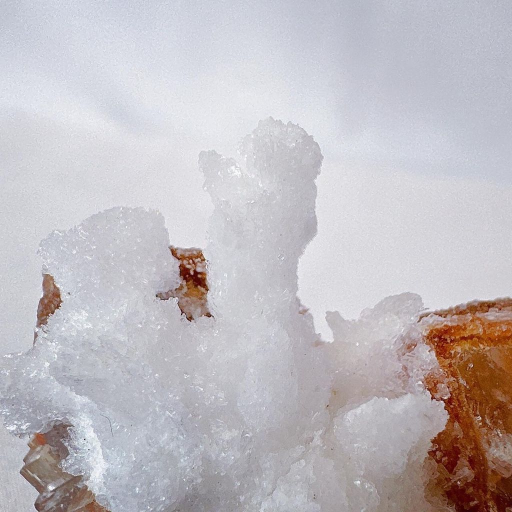 LINE_ALBUM_52248_231124_39