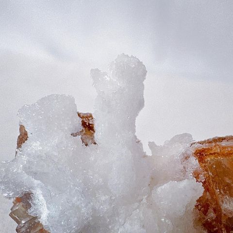 LINE_ALBUM_52248_231124_39