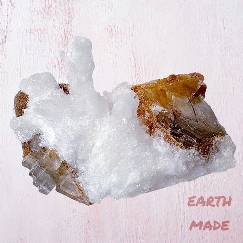 LINE_ALBUM_52248_231124_40