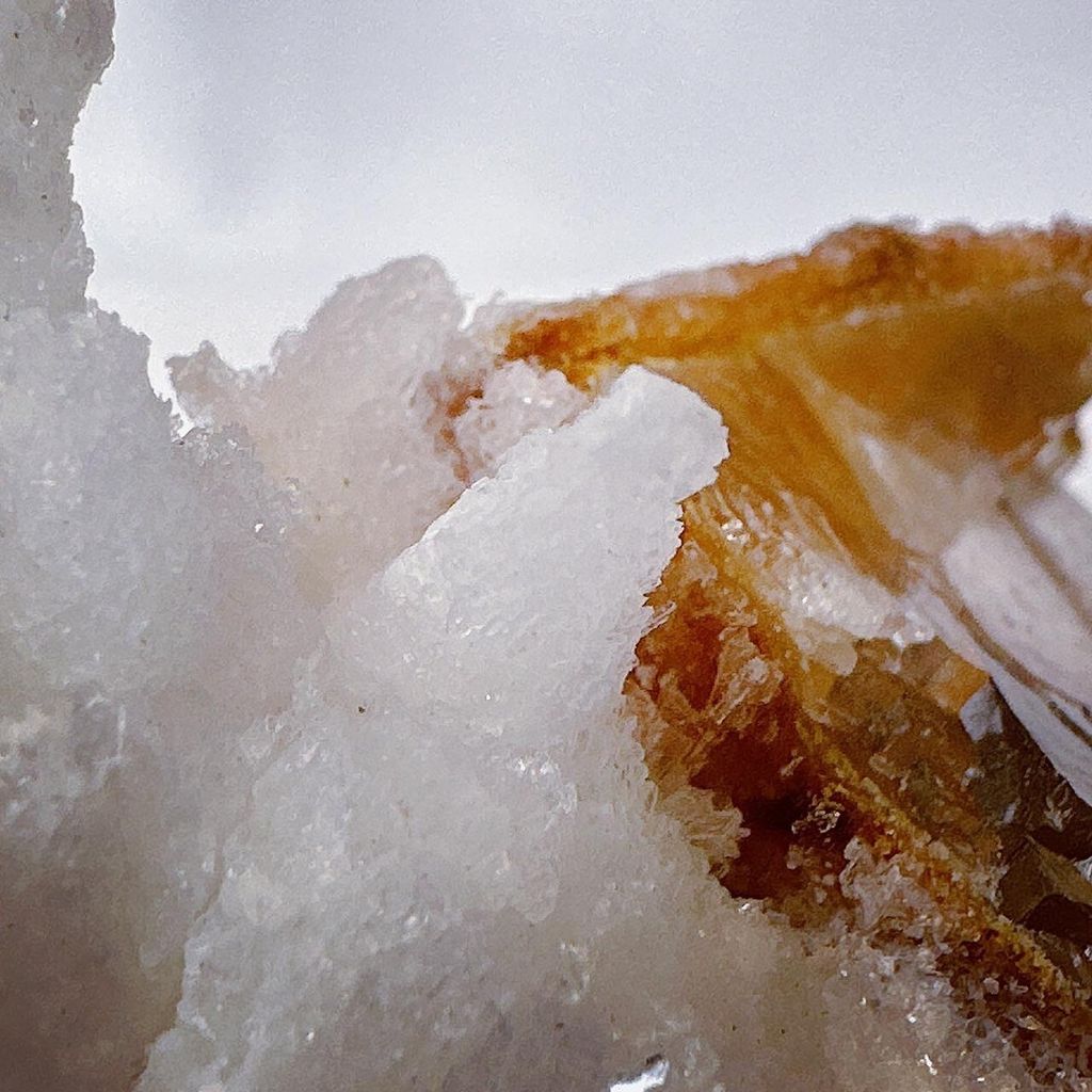 LINE_ALBUM_52248_231124_38