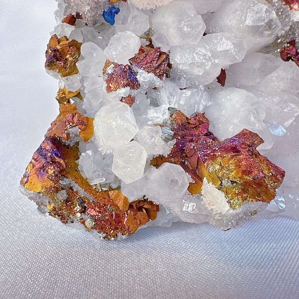 LINE_ALBUM_52250_231124_6