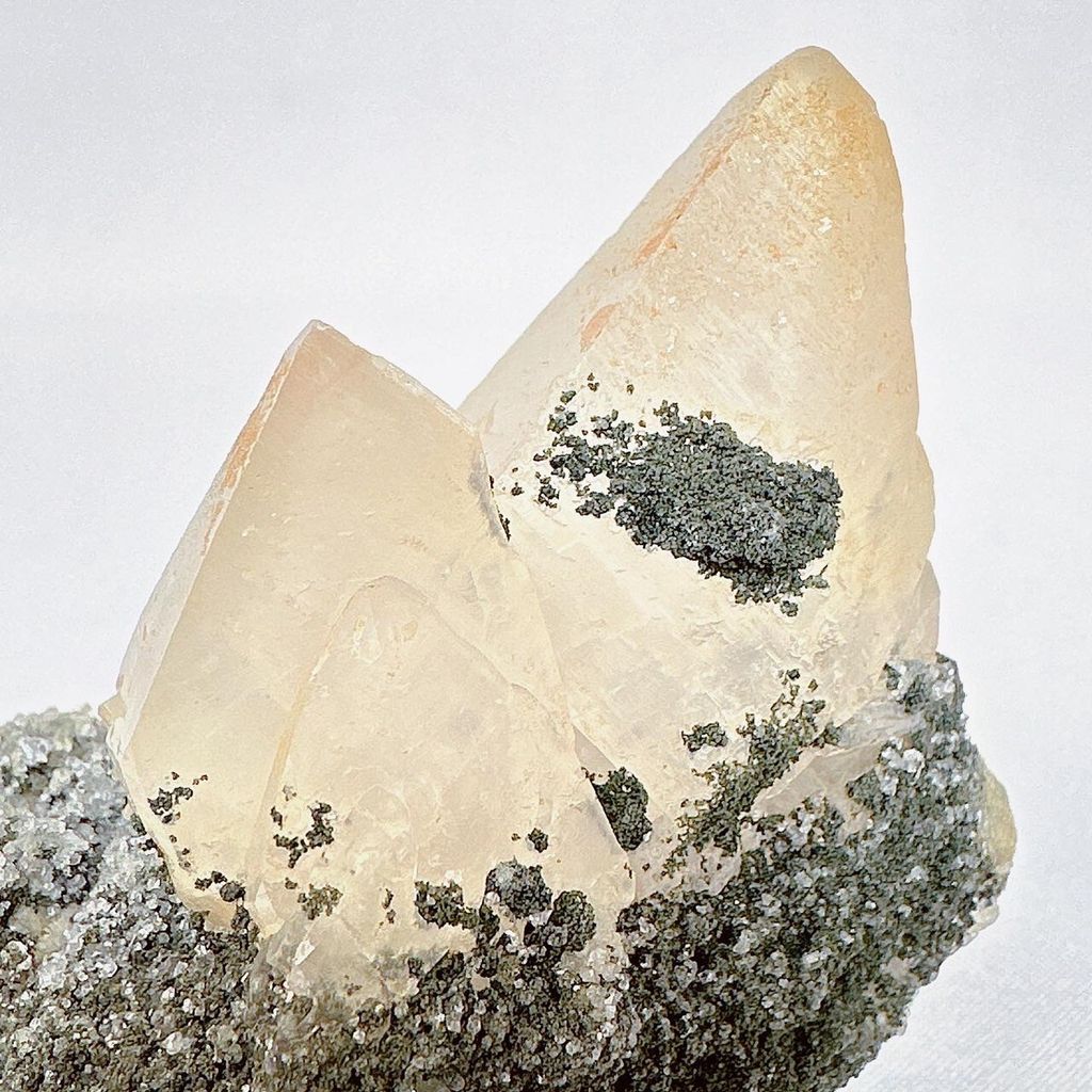 LINE_ALBUM_52254_231127_20