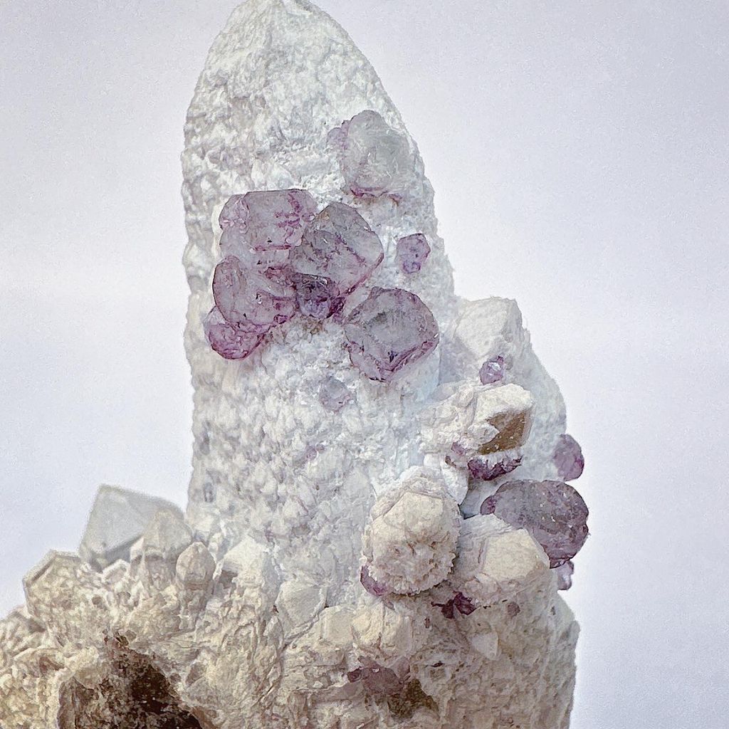 LINE_ALBUM_52254_231127_24