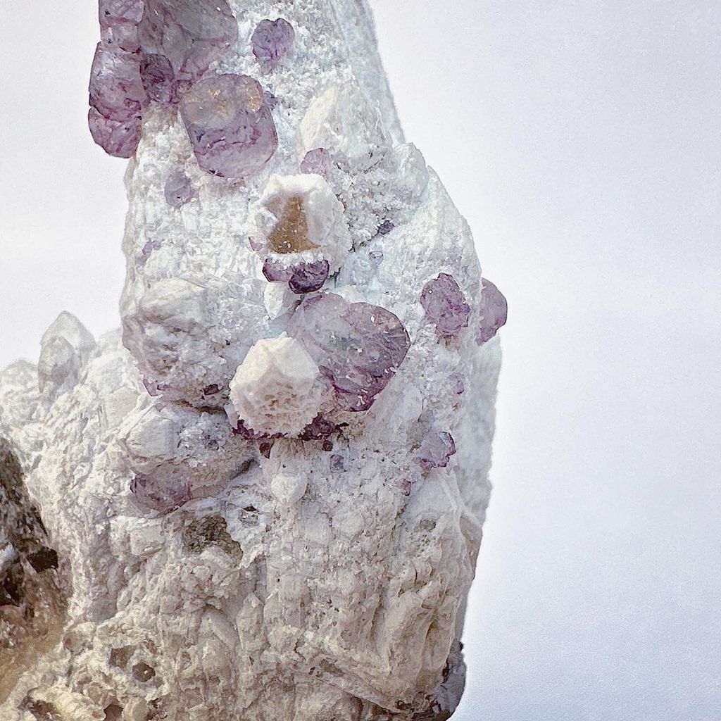 LINE_ALBUM_52254_231127_25