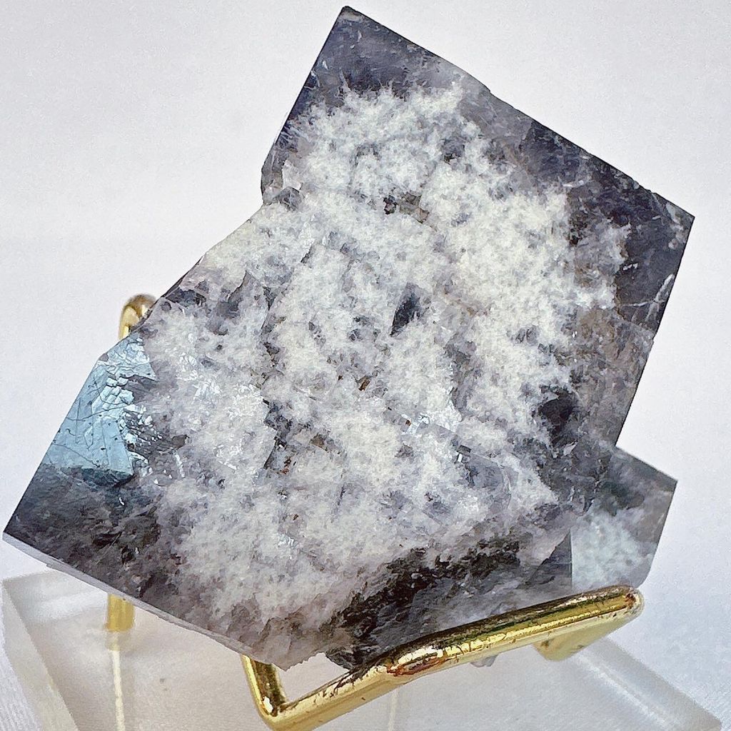 LINE_ALBUM_52256_231128_19