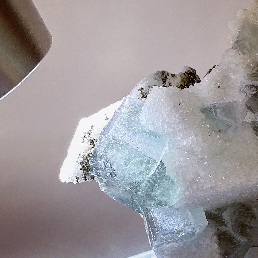 LINE_ALBUM_52404_231201_14