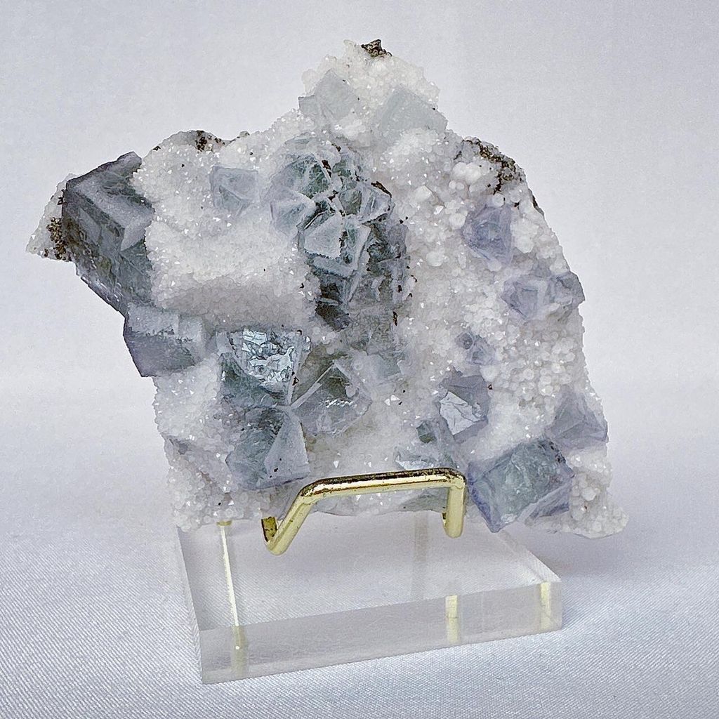 LINE_ALBUM_52404_231201_17