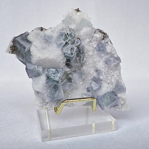 LINE_ALBUM_52404_231201_17