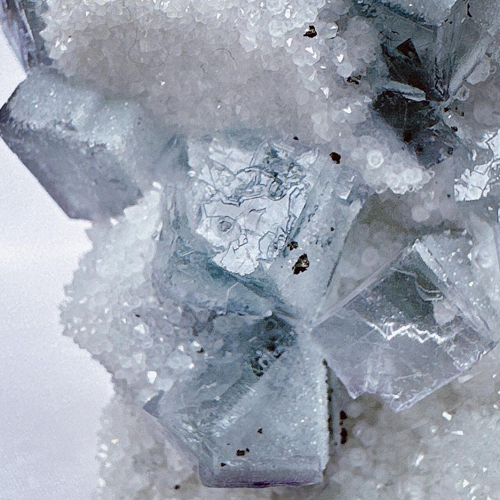 LINE_ALBUM_52404_231201_15