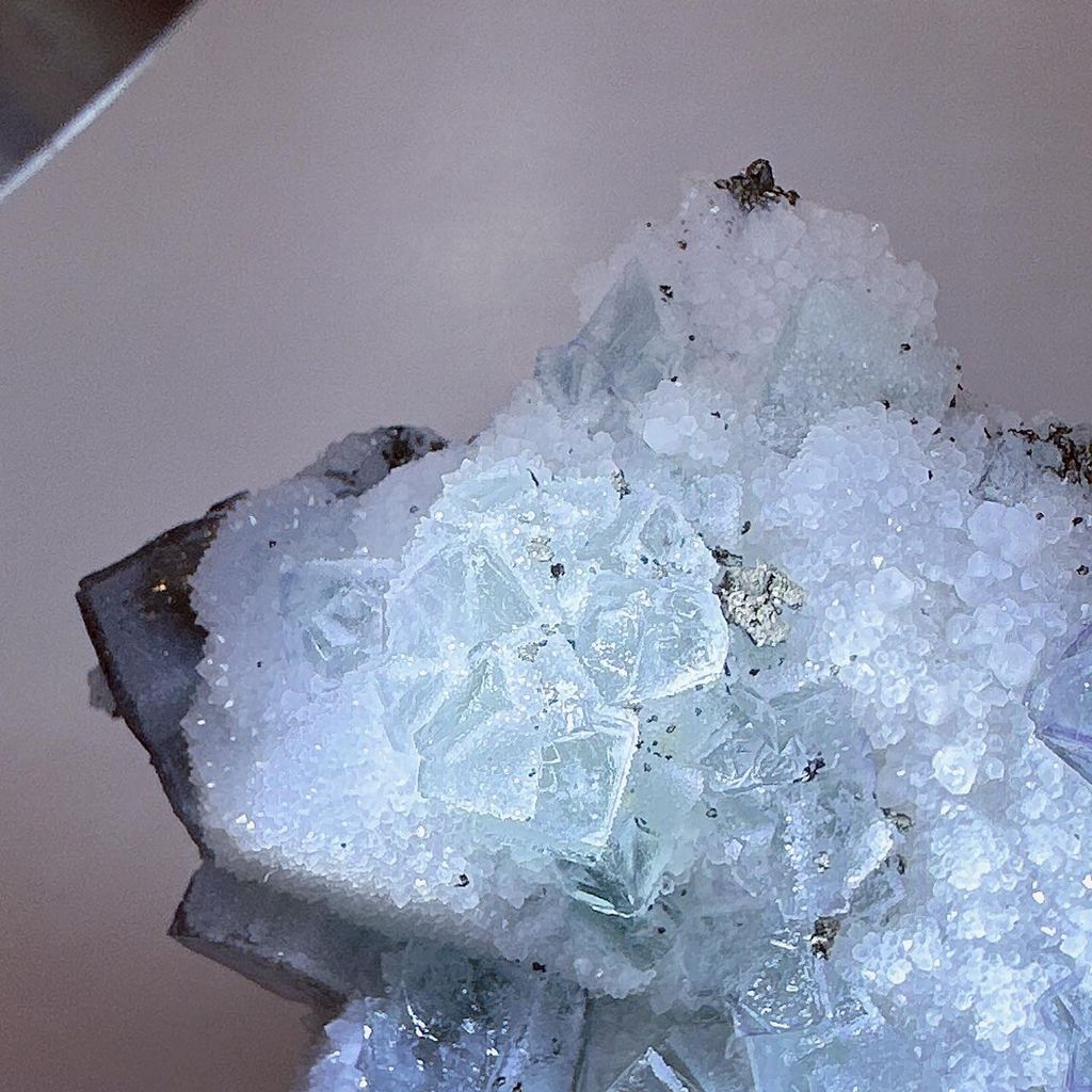 LINE_ALBUM_52404_231201_13