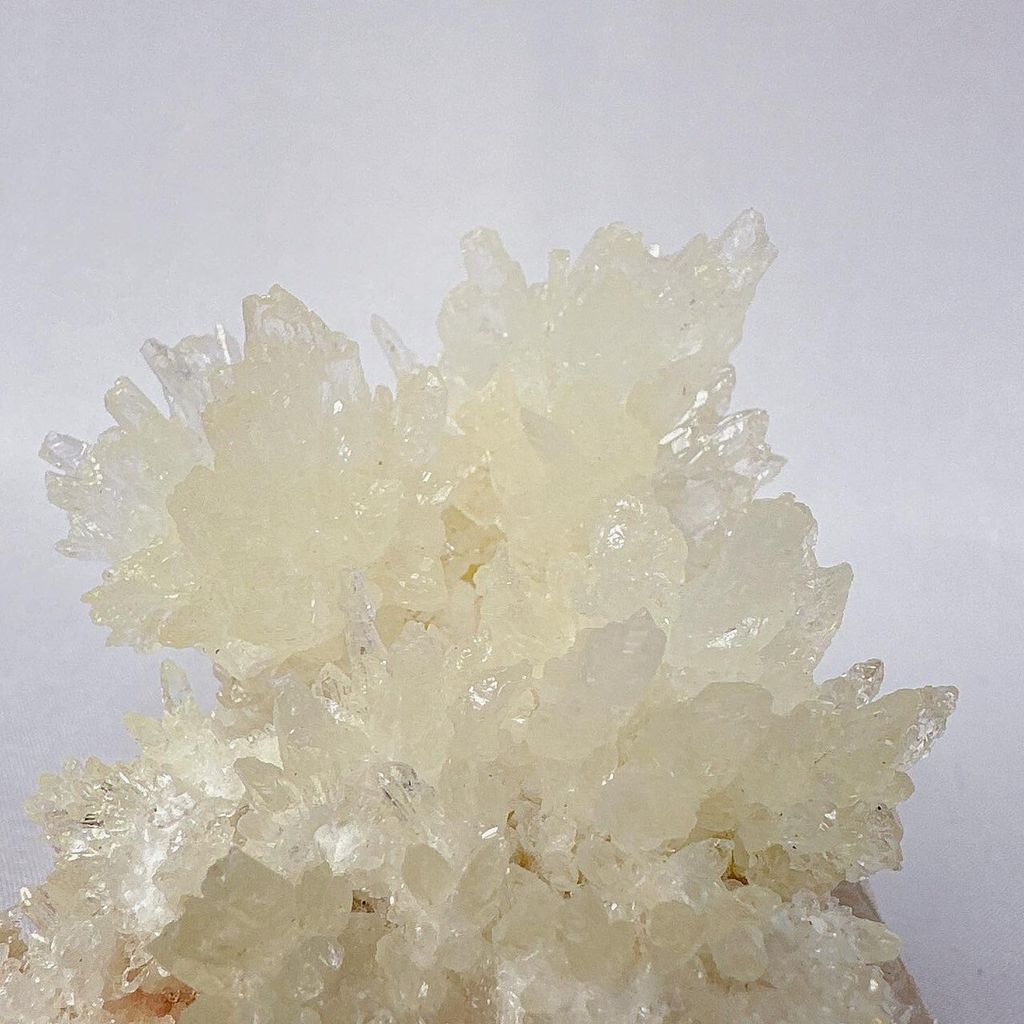 LINE_ALBUM_52404_231201_44