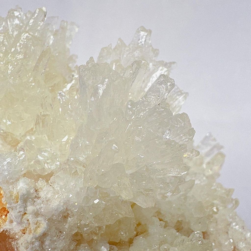 LINE_ALBUM_52404_231201_43