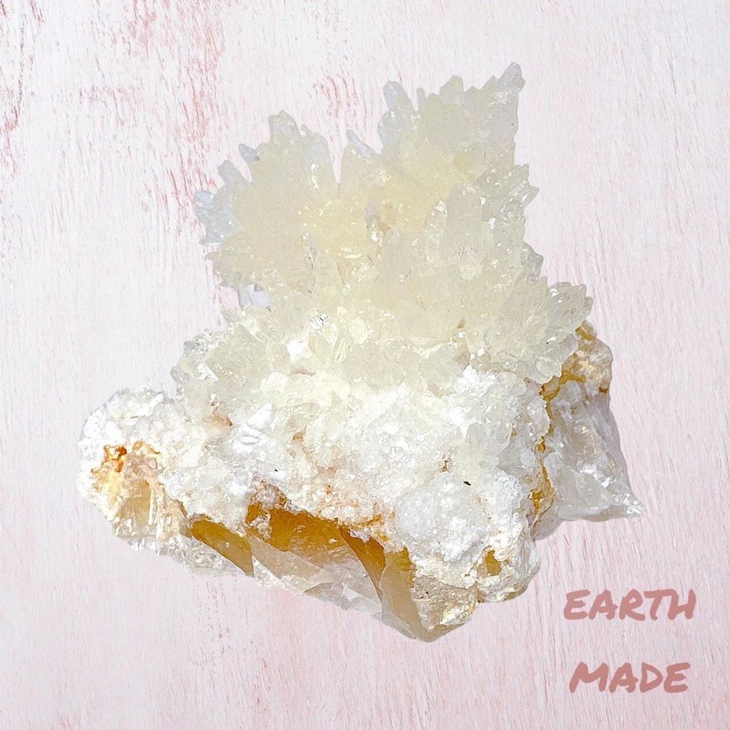 LINE_ALBUM_52404_231201_47