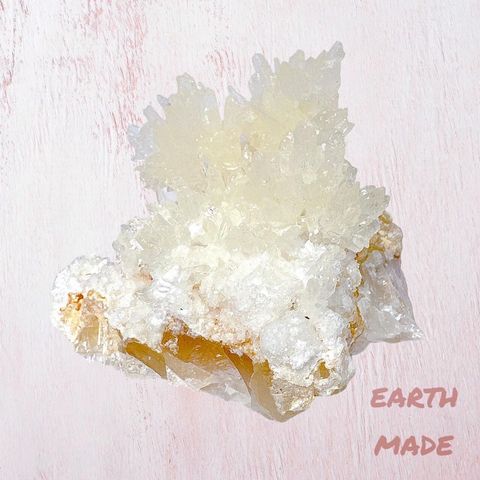 LINE_ALBUM_52404_231201_47