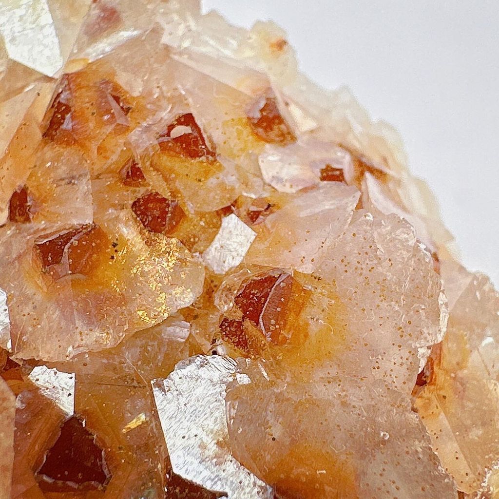 LINE_ALBUM_52412_231206_23