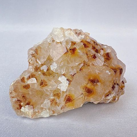 LINE_ALBUM_52412_231206_24