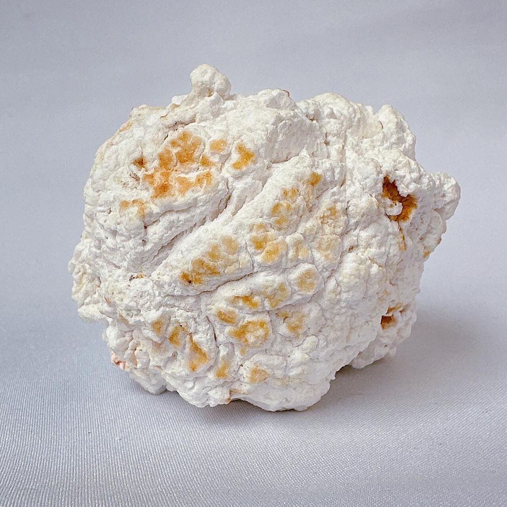 LINE_ALBUM_52424_231212_49