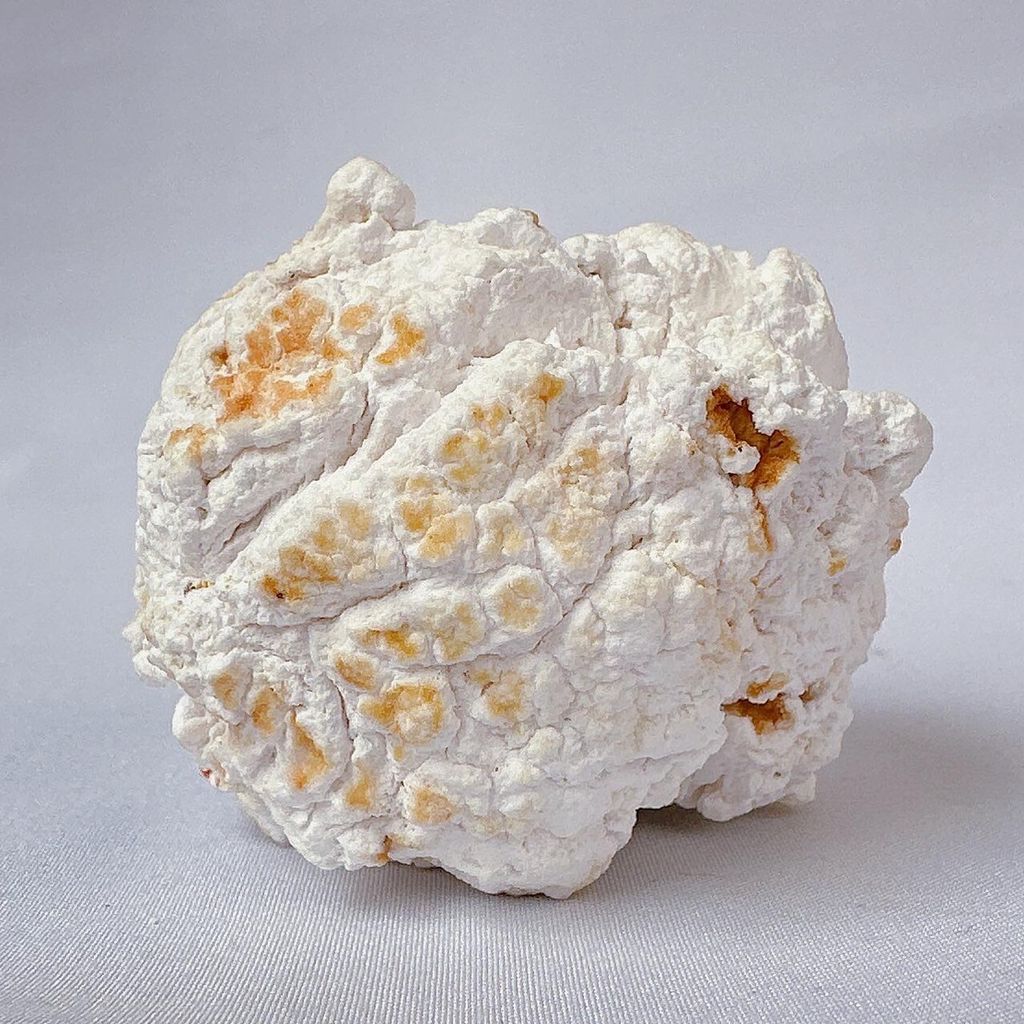 LINE_ALBUM_52424_231212_48