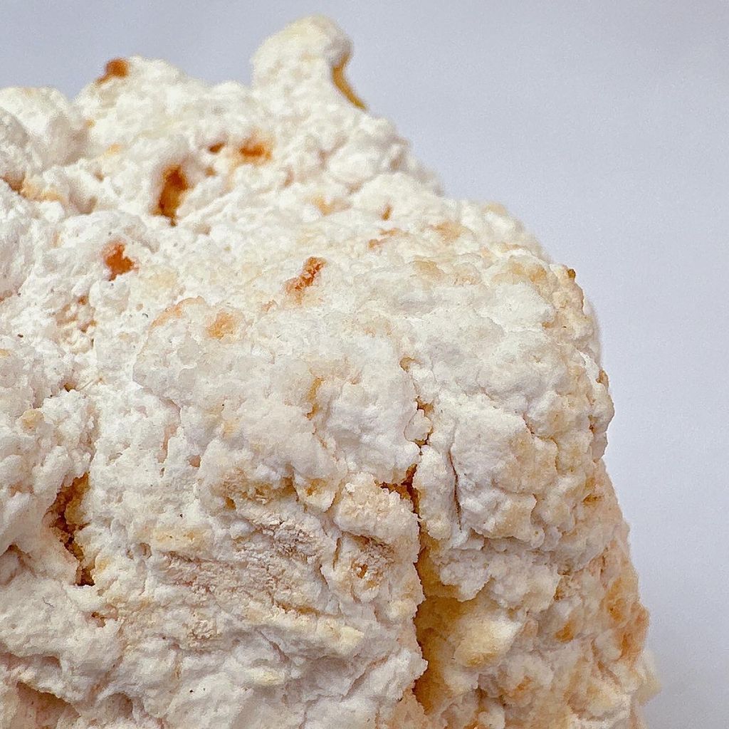 LINE_ALBUM_52424_231212_47