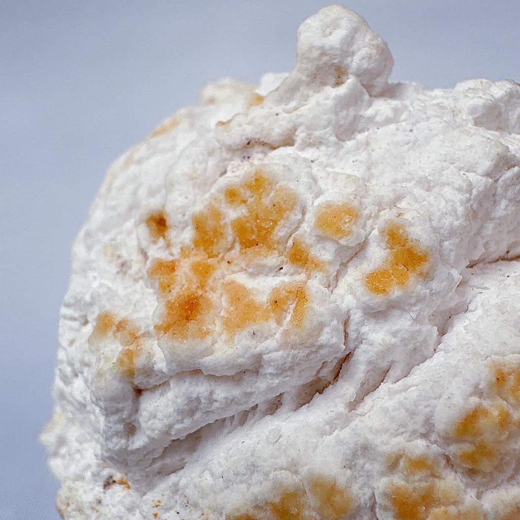 LINE_ALBUM_52424_231212_46