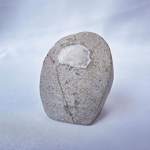 LINE_ALBUM_52426_231213_52